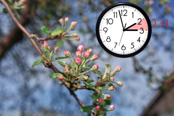 Zomertijd is slecht voor onze gezondheid