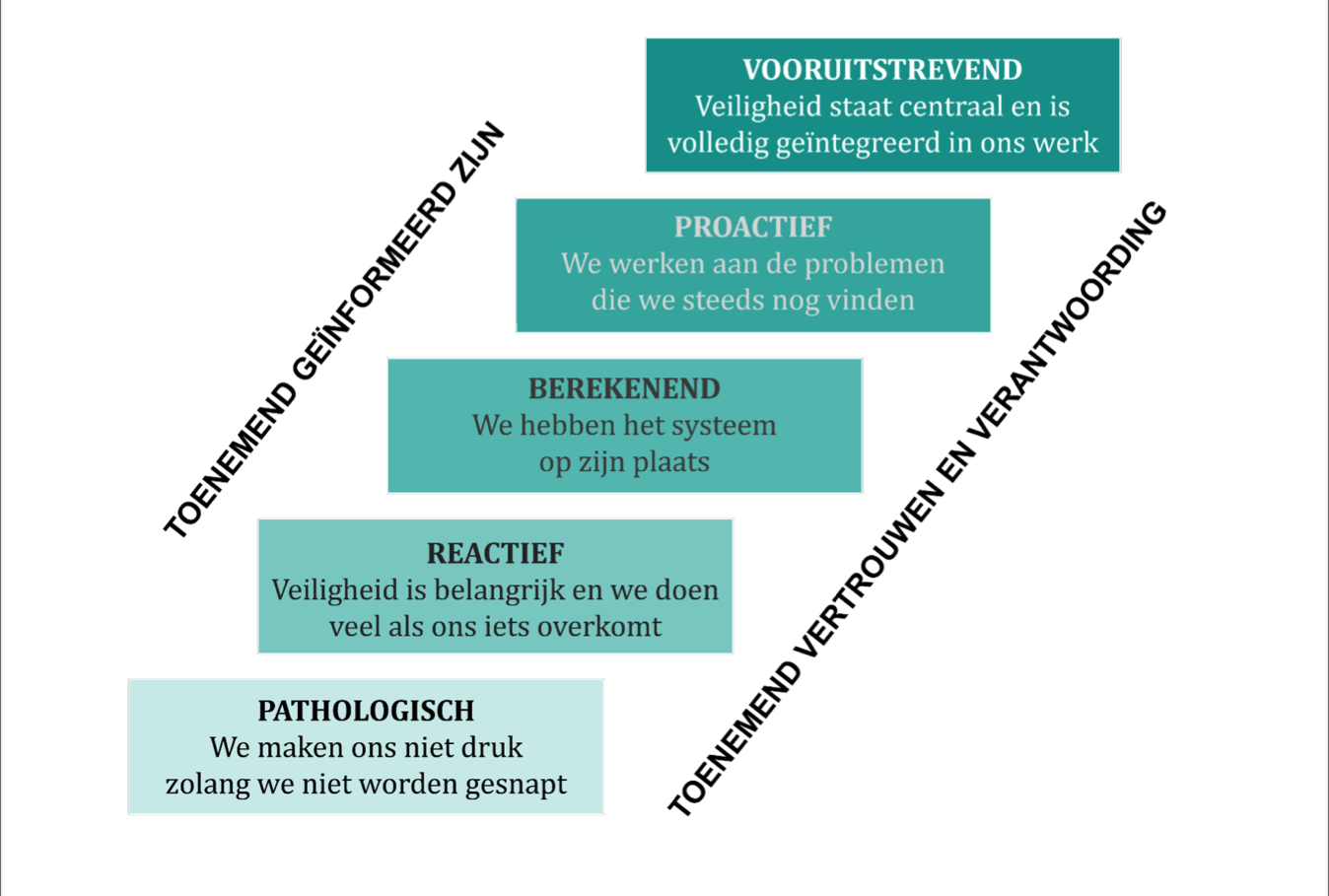 De Veiligheidsladder Om Veiligheid In De Organisatie Te Stimuleren