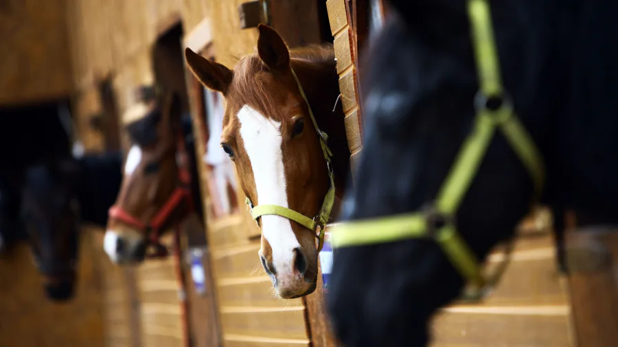 Ook simpele werkzaamheden horen thuis in de RI&E