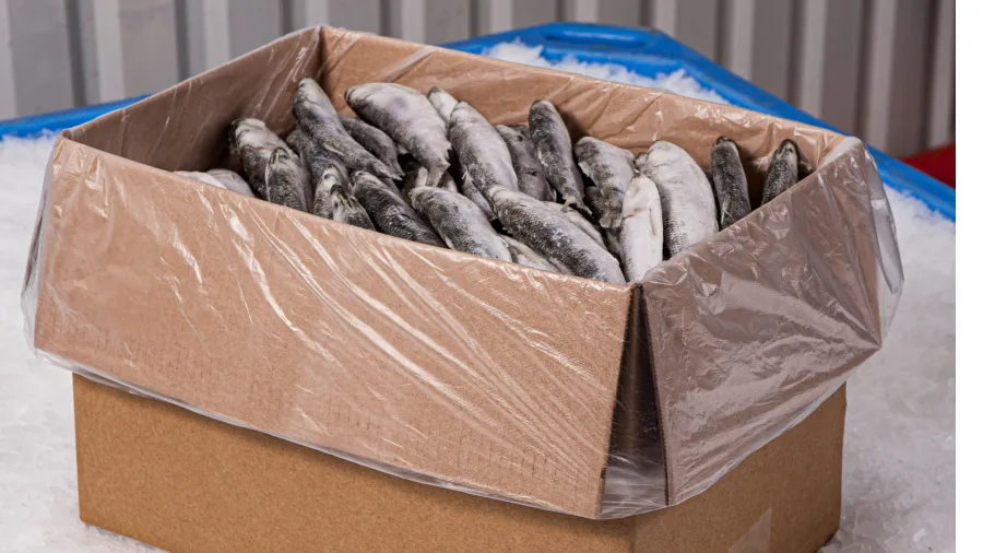 Bedolven onder dozen diepgevroren vis. Werkgever nalatig?