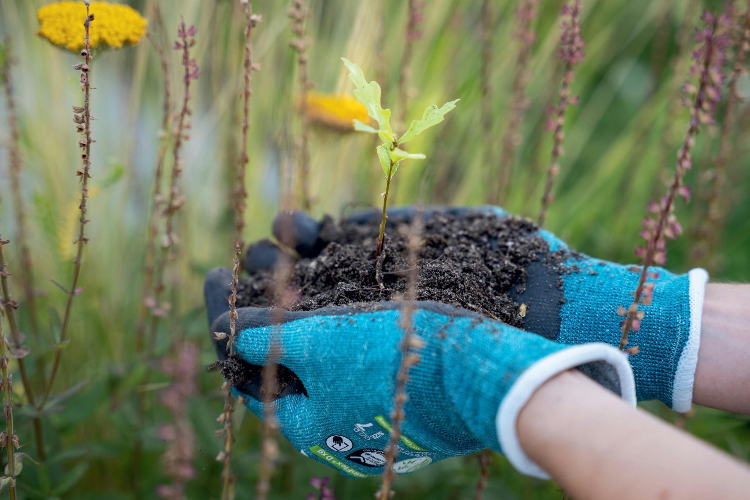 Hoe bedrijven met de 'planet schoen' hun CO₂-voetafdruk verminderen